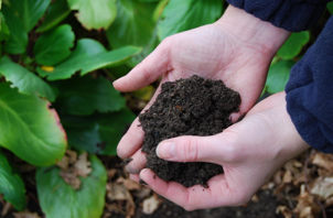 Lektion 1 Bliv klar.jpg